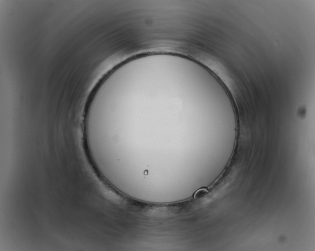 X0000101701093200807241426