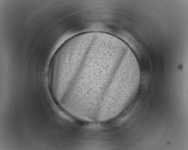 X0000101701094200807241426