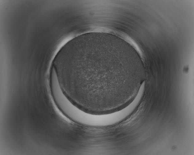 X0000101701095200807241426