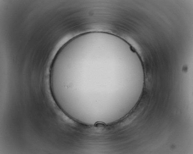 X0000101701096200807241426