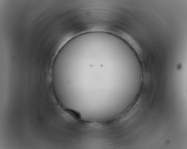 X0000101701097200807241426