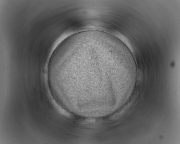 X0000101701098200807241426