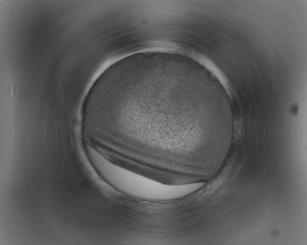 X0000101701099200807241426