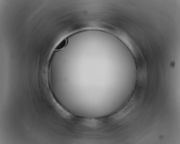 X0000101701100200807241426