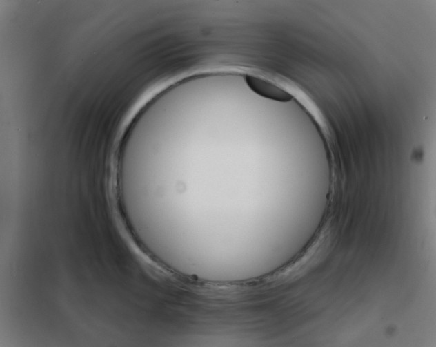 X0000101701101200807241426