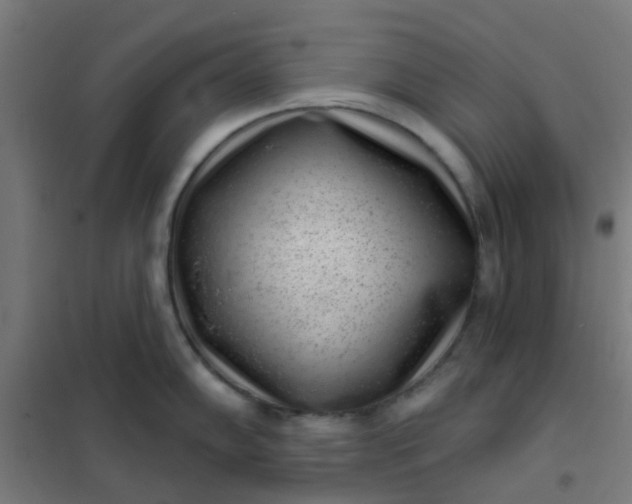 X0000101701102200807241426