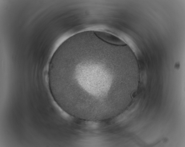 X0000101701103200807241426