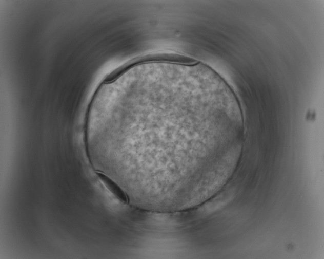 X0000101701104200807241426