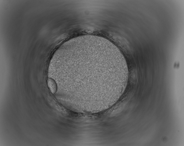 X0000101701105200807241425