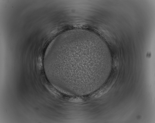 X0000101701106200807241425