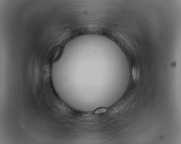 X0000101701107200807241425