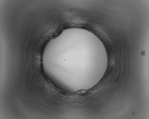 X0000101701108200807241425