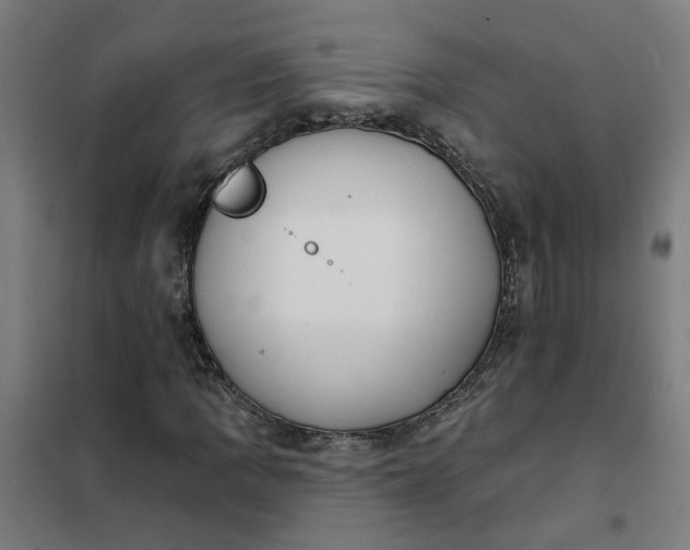 X0000101701109200807241425