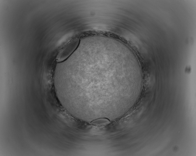 X0000101701110200807241425