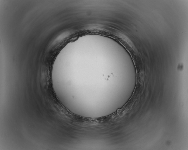 X0000101701111200807241425