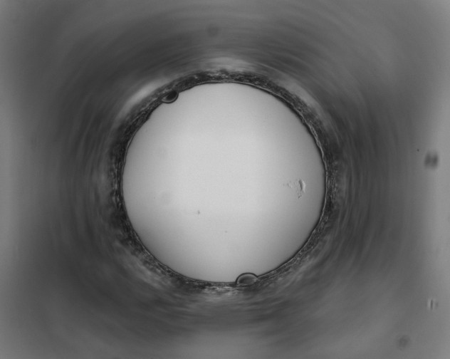 X0000101701112200807241425