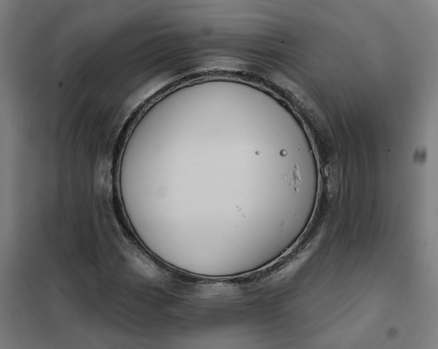 X0000101701113200807241425