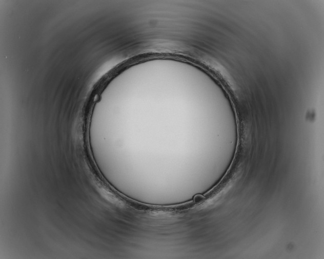 X0000101701114200807241425