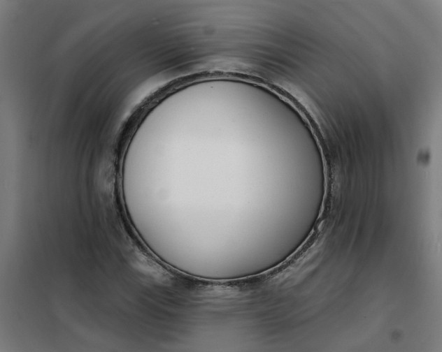 X0000101701115200807241425