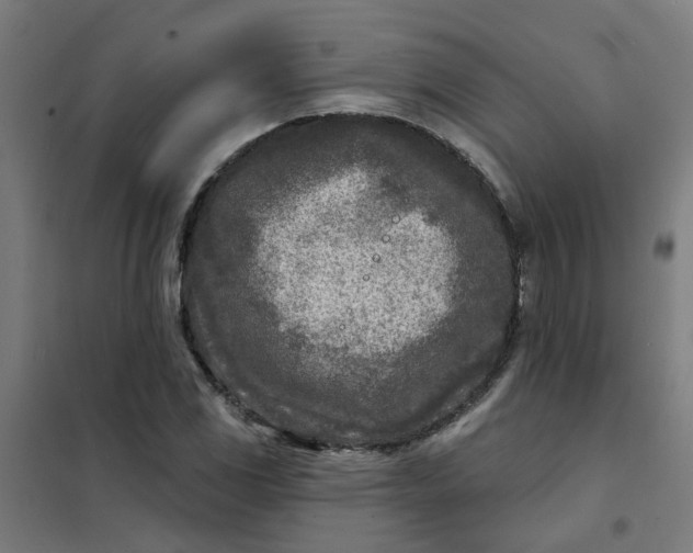 X0000101701117200807241425