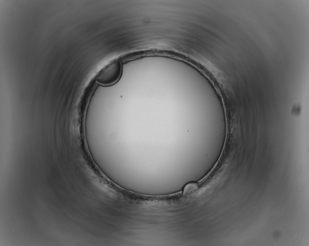 X0000101701118200807241425