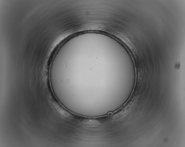 X0000101701119200807241425