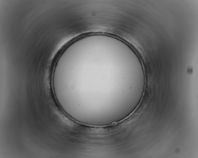 X0000101701120200807241425