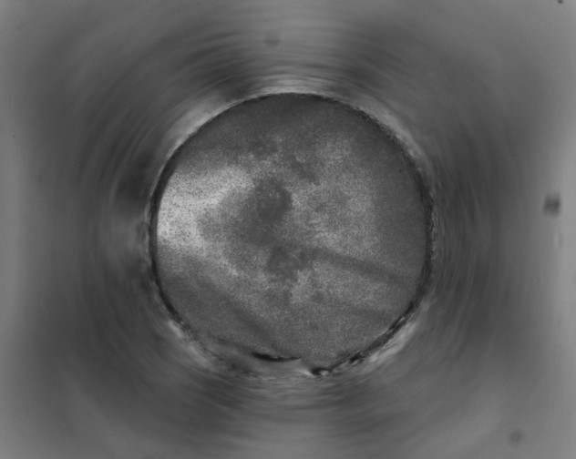 X0000101701121200807241425