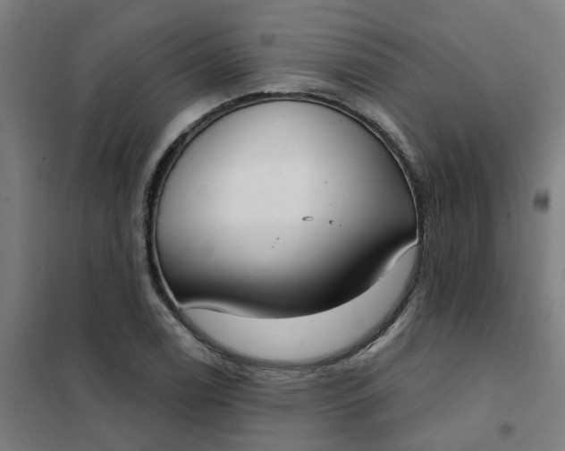 X0000101701122200807241425