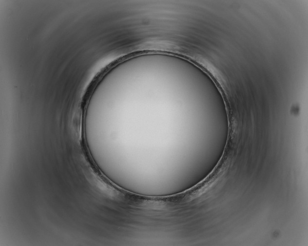 X0000101701123200807241425