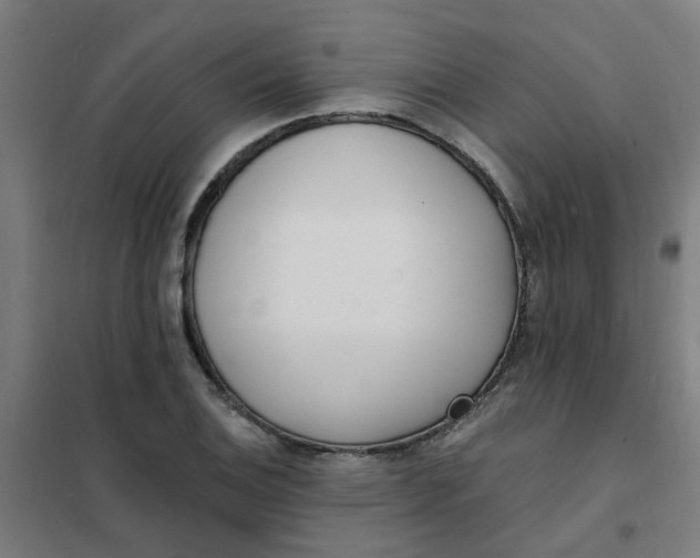 X0000101701124200807241425