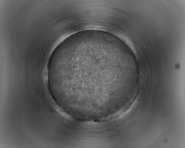 X0000101701125200807241425