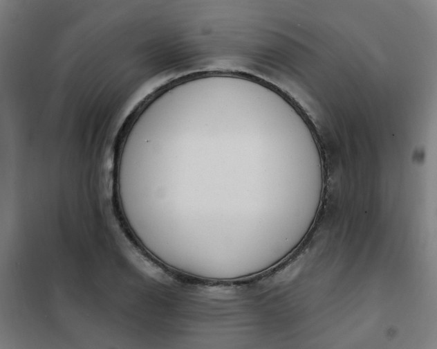 X0000101701126200807241425