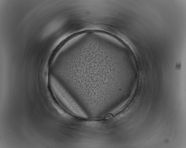 X0000101701127200807241425