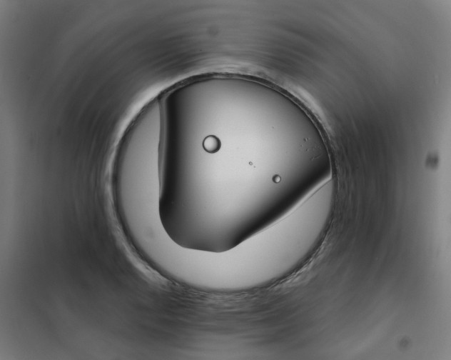 X0000101701128200807241425