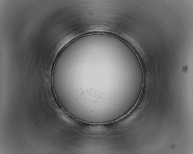 X0000101701129200807241425