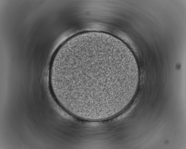 X0000101701130200807241425