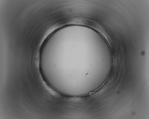 X0000101701131200807241425