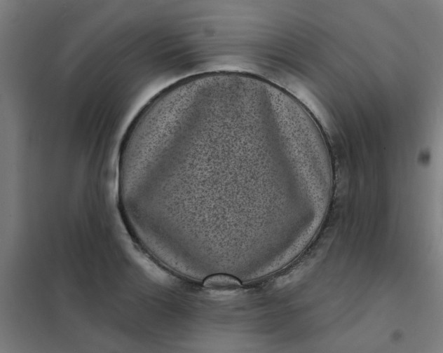 X0000101701132200807241425