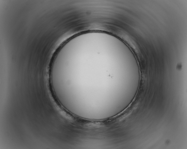 X0000101701133200807241425