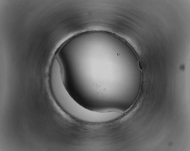 X0000101701134200807241425