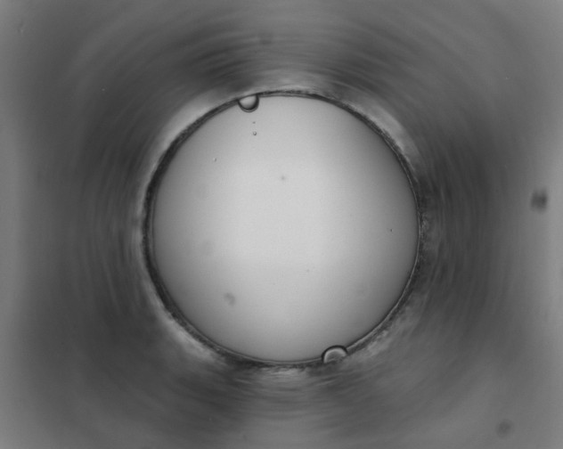 X0000101701135200807241426