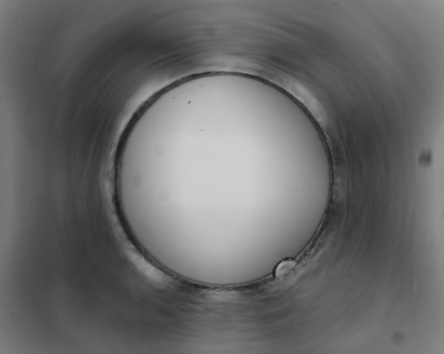 X0000101701136200807241426