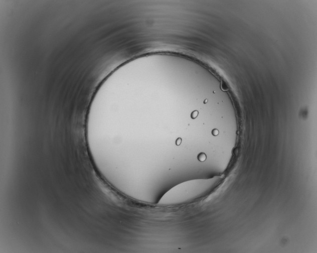 X0000101701137200807241426