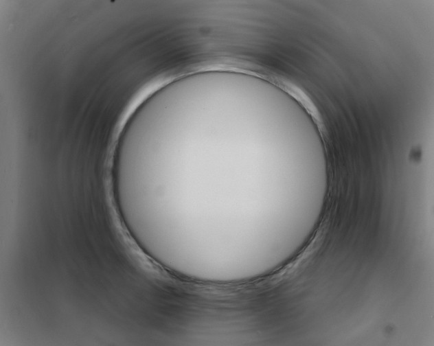 X0000101701138200807241426