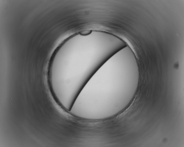 X0000101701139200807241426