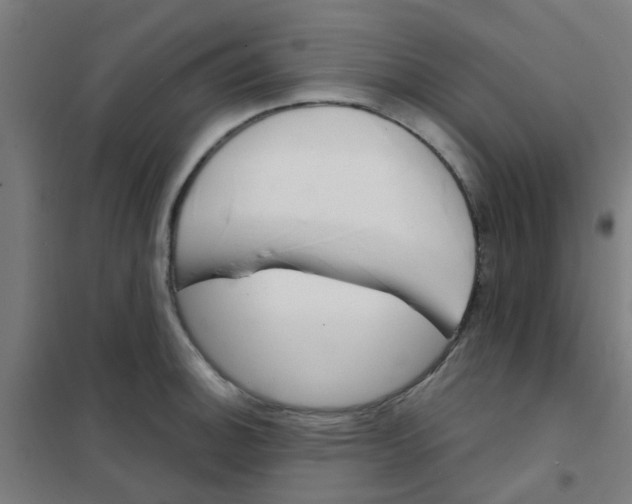 X0000101701140200807241426