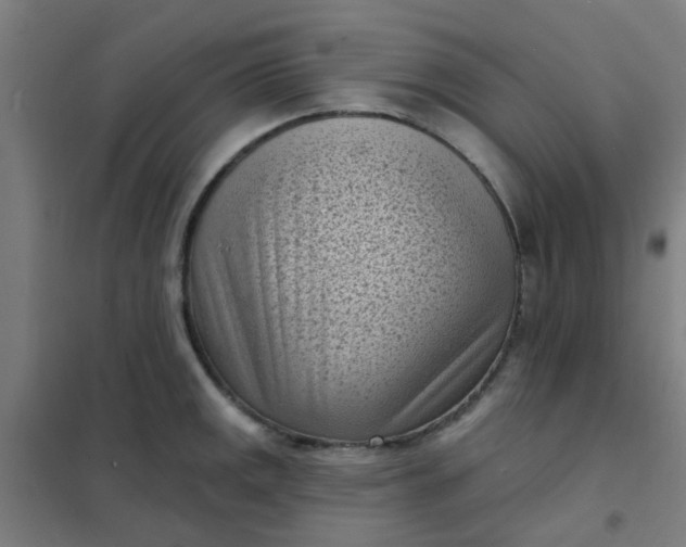 X0000101701141200807241426