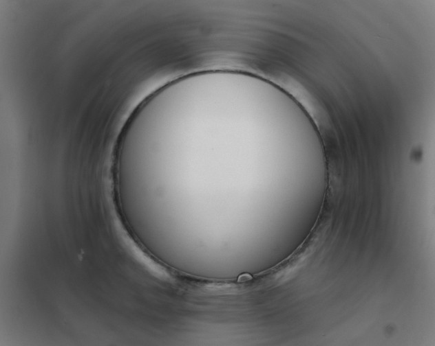 X0000101701142200807241426