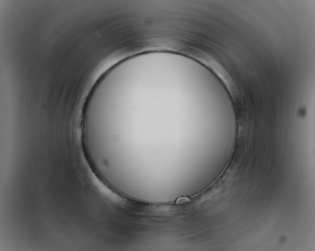 X0000101701143200807241426